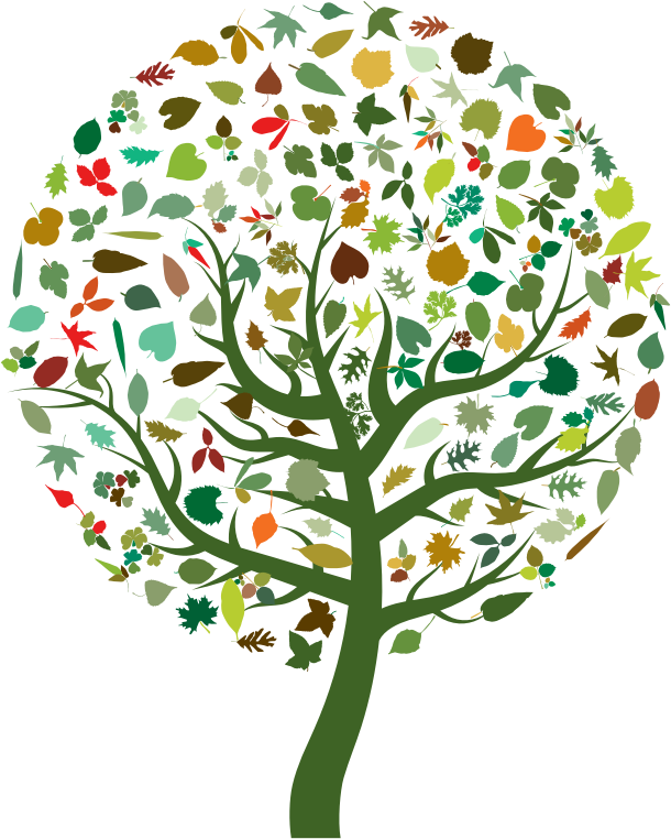 Esoteric Dimensions of Deep Ecology